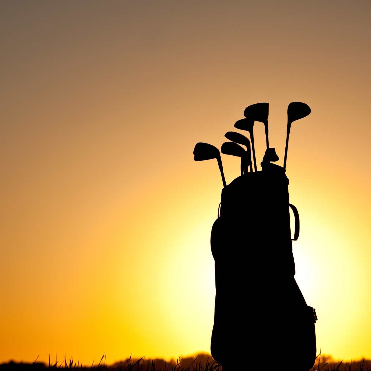 Custom Golf Bags with Your Name, Logo Embroidery, and Fabric Colors!