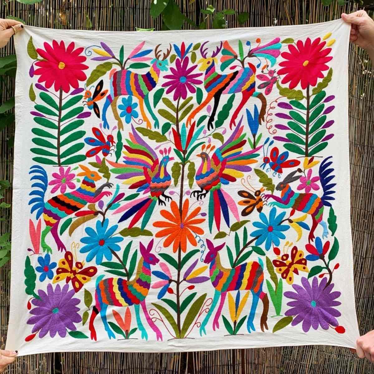 Otomi Embrioidery 