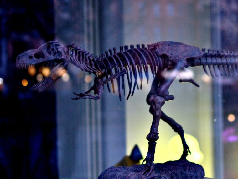 A model dinosaur on display