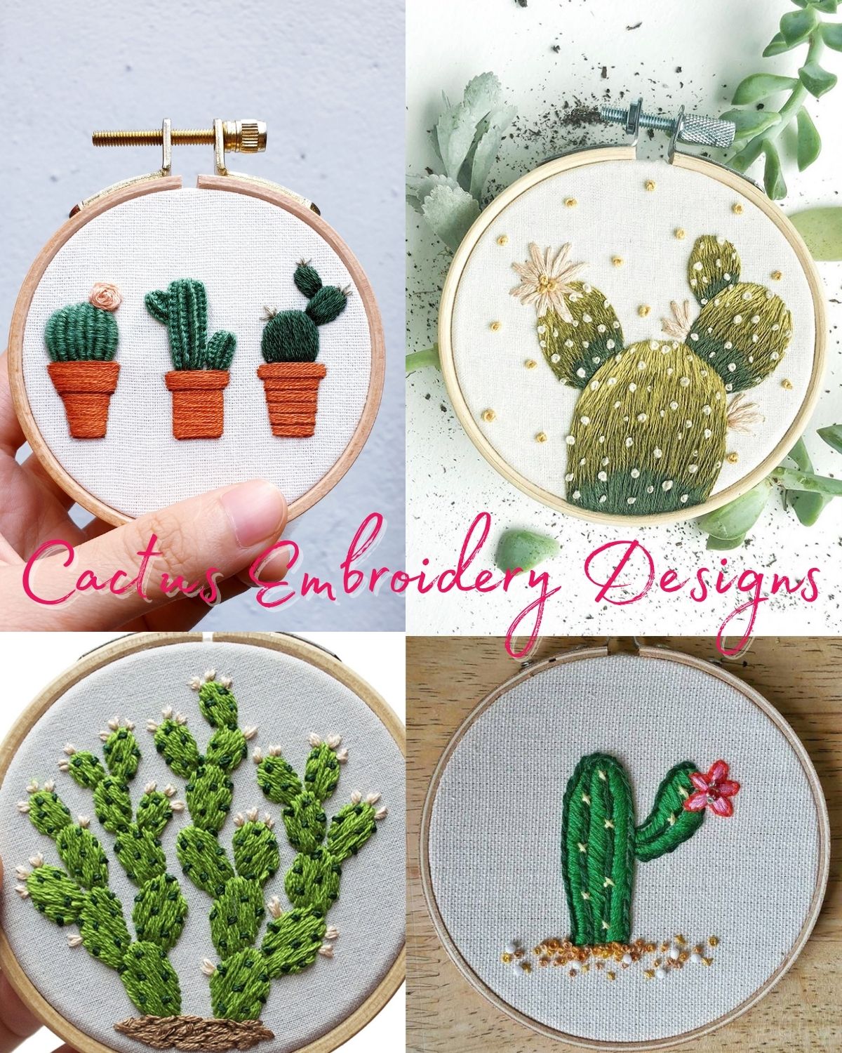 Four designs with cactus 